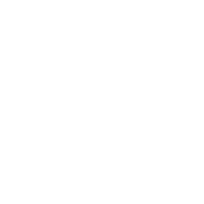 Bike Icon