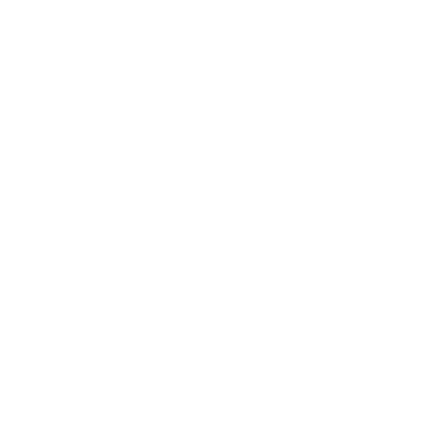 Palm Tree Icon