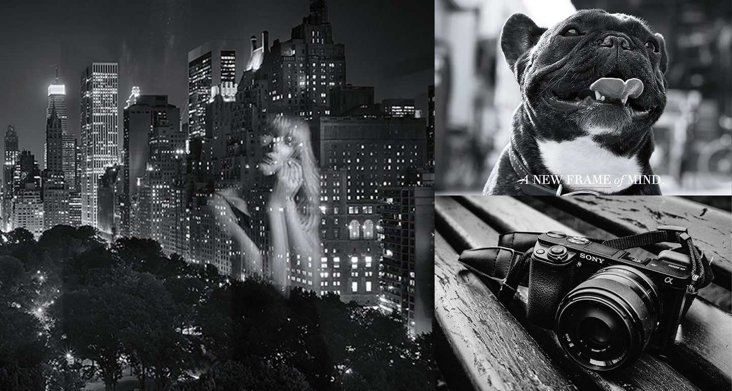 widgets/2021/03/16/Sony_Lifestyle_Large-min.jpg