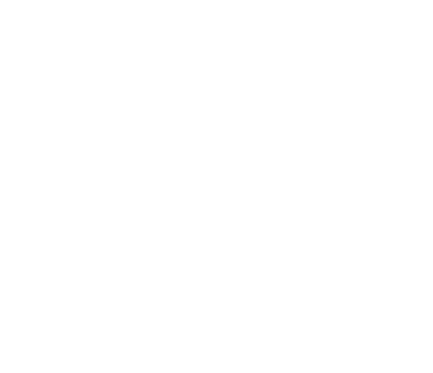 DynamicBrand Experience Brain Diagram