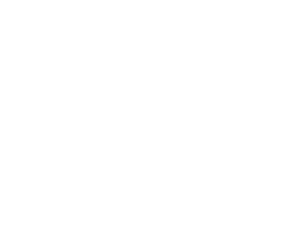 DynamicBrand Experience Brain Diagram